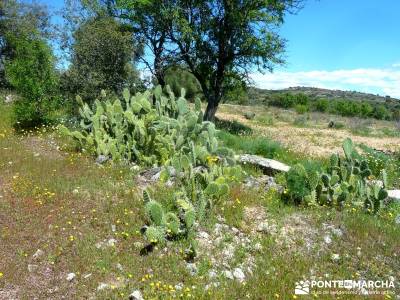 Piedra Escrita Diosa Diana; grupo de senderismo madrid; viajes rutas;lugares con encanto